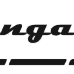 Logo tringa boat tringaboat
