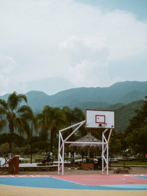 Not wild n°9