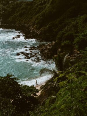 Not wild n°8