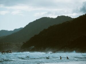 Not wild n°6