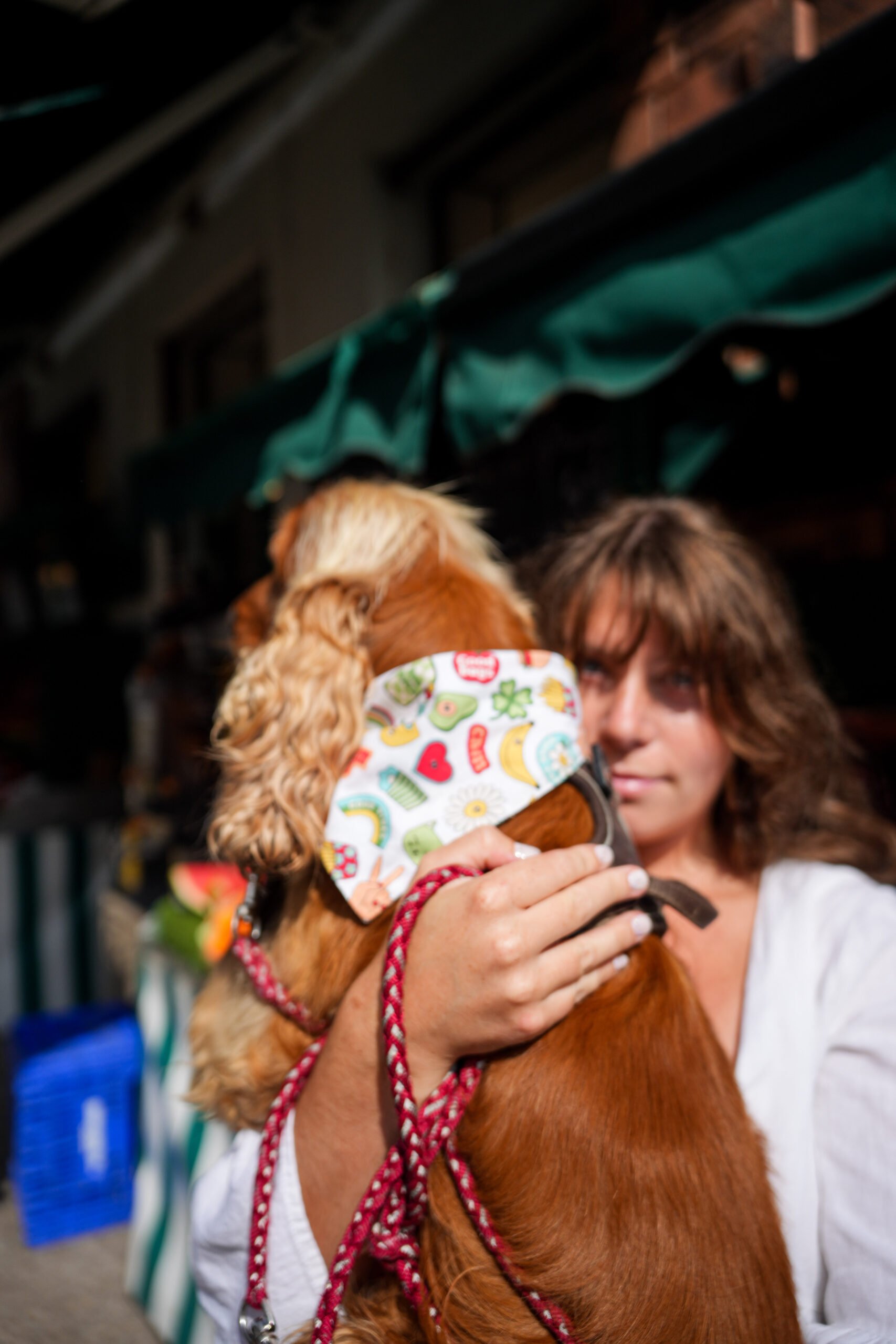 Pet product branding shoot for Woofgang – dog accessories in a French countryside setting.