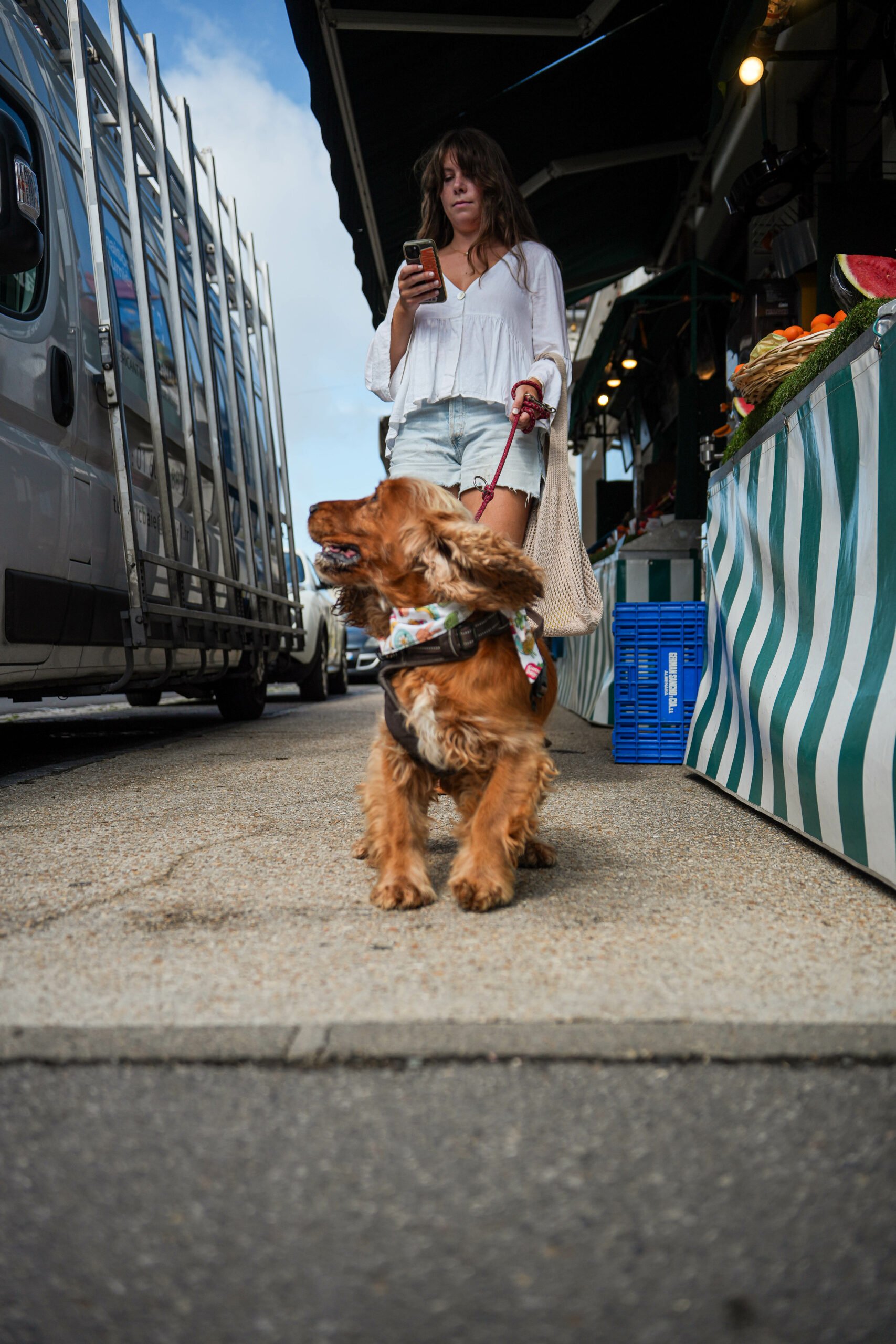 Pet product branding shoot for Woofgang – dog accessories in a French countryside setting.