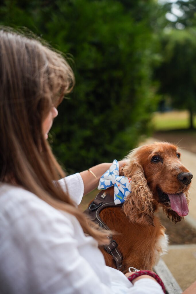 Pet product branding shoot for Woofgang – dog accessories in a French countryside setting.