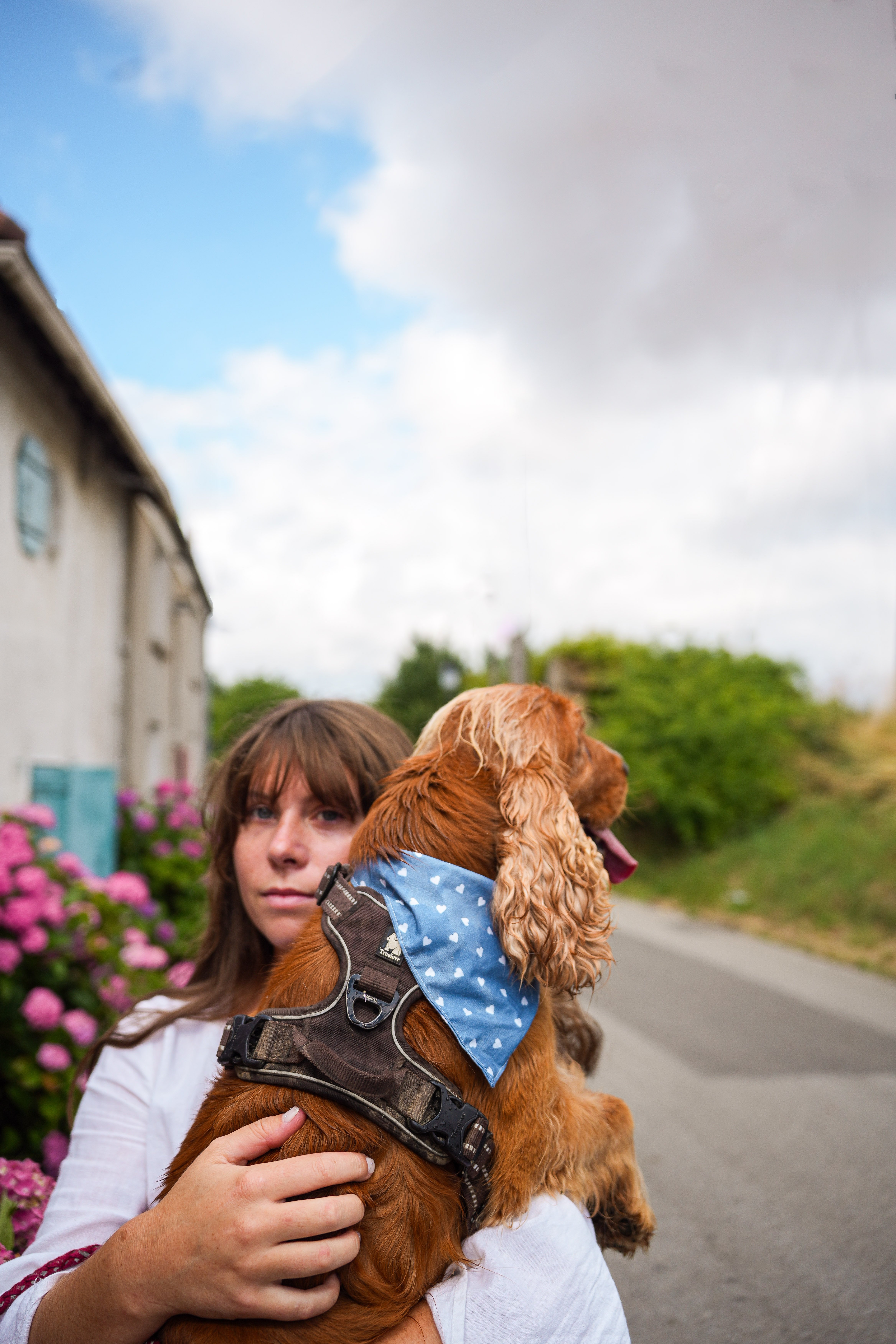 Pet product branding shoot for Woofgang – dog accessories in a French countryside setting.